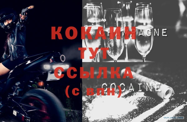spice Белокуриха