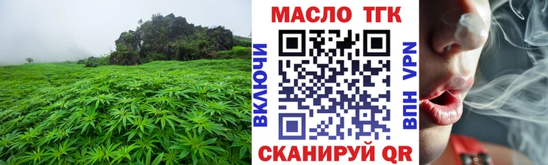 Купить закладки  Онега  ТГК THC oil 