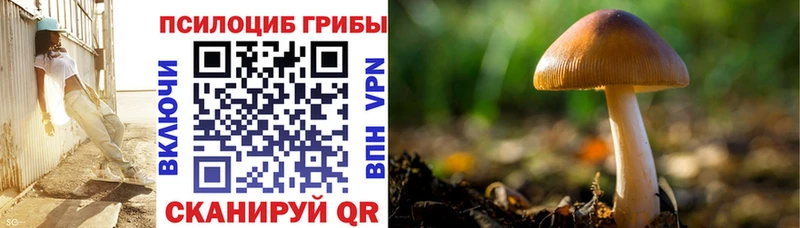 Галлюциногенные грибы ЛСД Купить где Онега